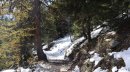 Descente dans le bois